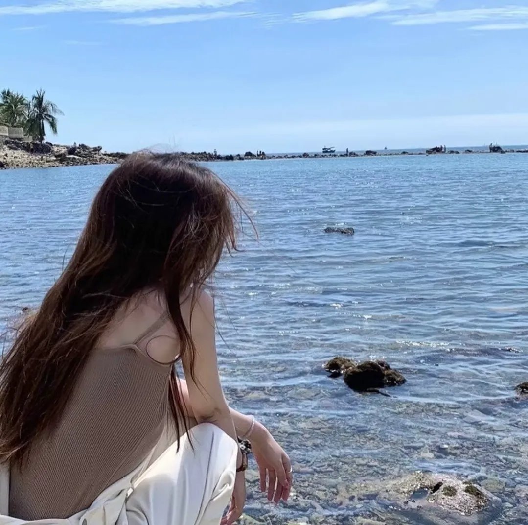 金部长的梦想人生在线观看海报